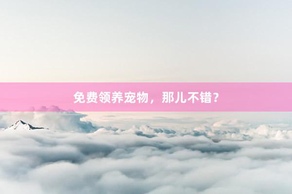 免费领养宠物，那儿不错？