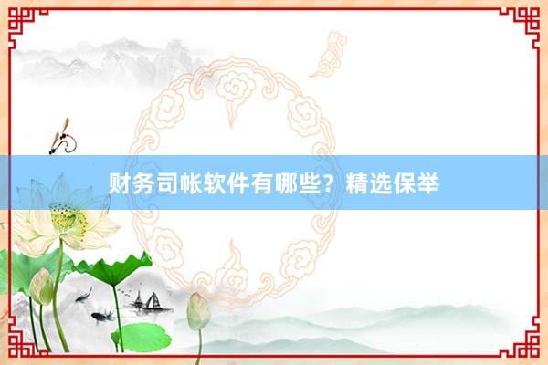 财务司帐软件有哪些？精选保举