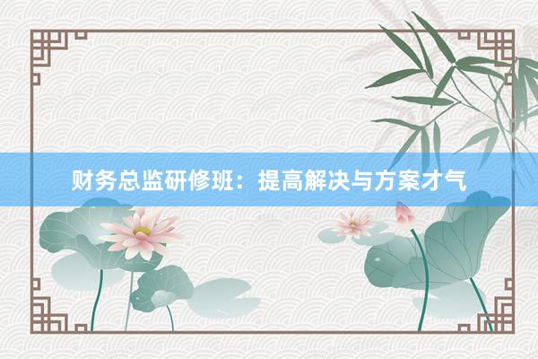 财务总监研修班：提高解决与方案才气